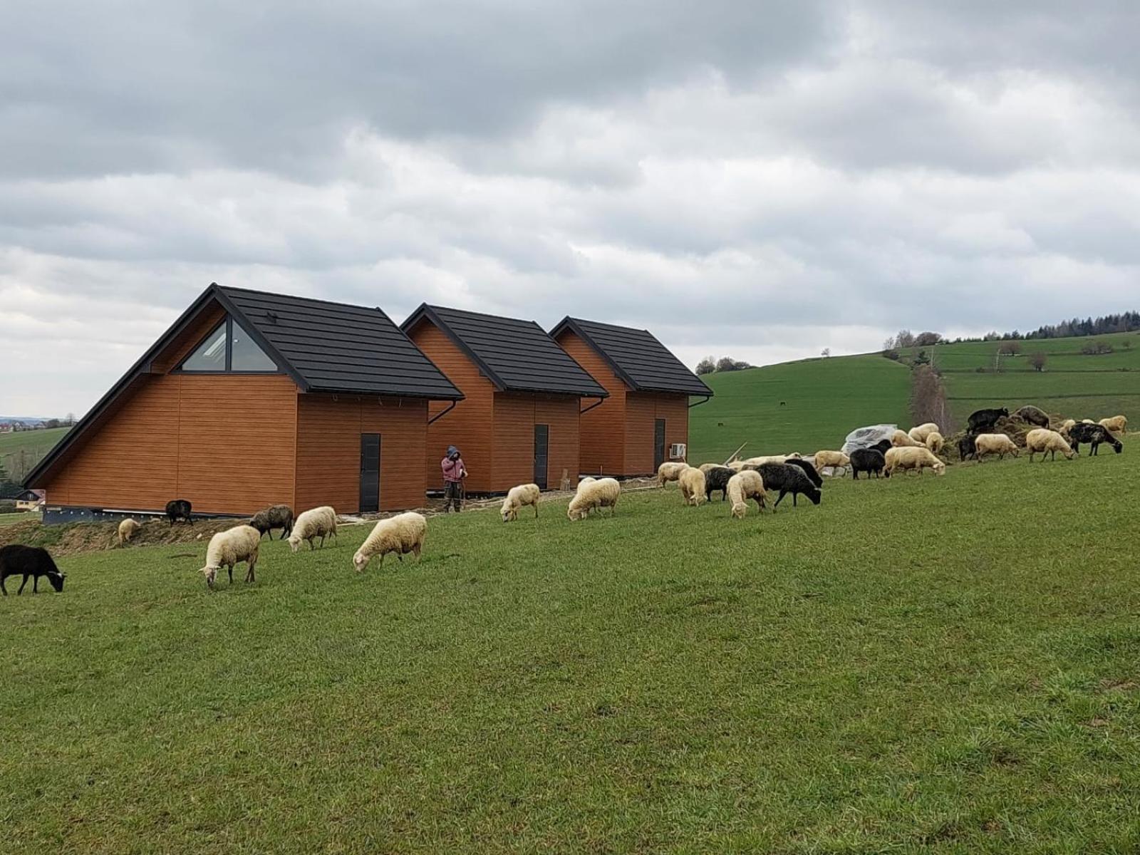 Cosy - Las, Jezioro, Gory, Prywatna Sauna, Balia Bez Limitu * Kluszkowce